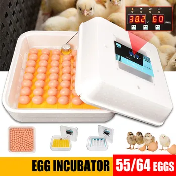 Ūkio Perykla Mašina su Tekinimo 55/64 Kiaušiniai Inkubatoriaus Brooder Skaitmeninis Visiškai Automatinis Hatcher Paukštienos, Vištienos, Du