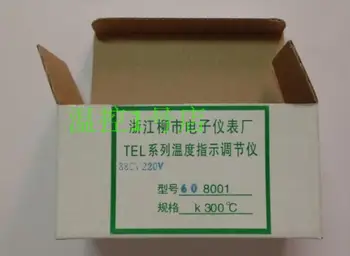 Liushi Elektroninių Skaitiklių TEL60-8001 Krosnelė Skirta Temperatūros Reguliatorius Batų Mašina Temperatūros Kontrolės 60 × 60