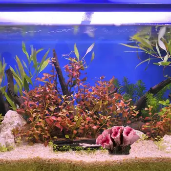 UEETEK Netikrą Koralų Akvariumo Apdaila Modeliavimas po vandeniu Augalų, Žuvų Bakas Dekoro Kraštovaizdžio Ornamentu