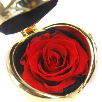 Valentino Diena Rankų Darbo Konservuoti Rose Pateikti Upscale Nemirtingas Gėlės Gimtadienio Sukaktį