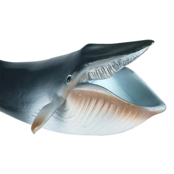 Modeliavimo Gyvybei Jūroje Banginių Modelio Realus Vandenyno Gyvūnų Skaičius Vaikų Švietimo Žaislas BX0D