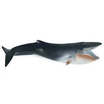 Modeliavimo Gyvybei Jūroje Banginių Modelio Realus Vandenyno Gyvūnų Skaičius Vaikų Švietimo Žaislas BX0D