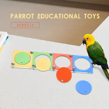 Akrilo Mokymo Paukščių Žaislai Papūga Švietimo Žaislai Paukščių Kūrybinį Galvosūkį Mokymo Žaislai Paukščių Priedai Atsitiktinių Spalvų Pristatymas