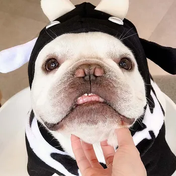 Šuo žiemos drabužių plius aksomo sustorėjimas metodas kovos drabužius Pug Bichon Teddy veislės kalytę Shiba Inu karvė pet megztinis