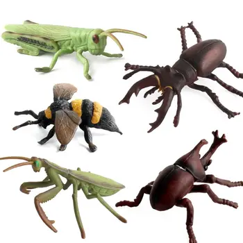 12Pcs/Daug Vabzdžių Modeliai Figūrėlės Vaikas Pažinimo Gyvūnų Žaislai Ankstyvojo Lavinimo Žaislai