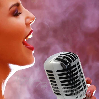 Pro 55SH Klasikinis Retro Stilius Dinaminis Vokalinis Mikrofonas Karaoke 55 SH Laidinis Mikrofonas Su Jungikliu DJ Interviu Kalbos Dainuoti Įrašymas