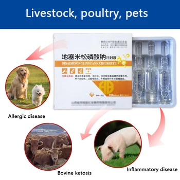 Dexamethasone natrio fosfato tirpale, skirtų naminiams gyvūnams, gyvūnai, šunys, katės, kiaulės, galvijai ir avys