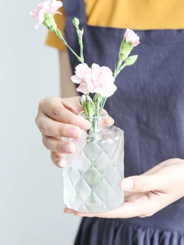 Paprasta Šiuolaikinės Skaidraus Stiklo Mažos Vazos Ins Derliaus Mini Stalo Gėlių Vaza Floreros De Decoracion Namų Dekoro Amatų Stiklainiai