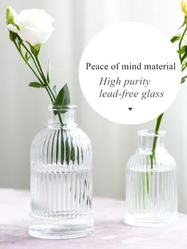 Paprasta Šiuolaikinės Skaidraus Stiklo Mažos Vazos Ins Derliaus Mini Stalo Gėlių Vaza Floreros De Decoracion Namų Dekoro Amatų Stiklainiai