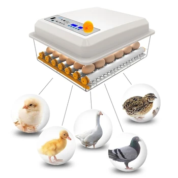 Profesinės 36 Kiaušiniai Inkubatoriaus Automatinis Inkubatorius Mašina, Skaitmeninis Displėjus, Drėgmės Kontrolė Paukščių Brooder Termostatas Veisimo Skrybėlę