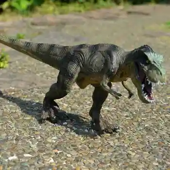 Modeliavimas Gyvūnų Žaislas Juros Periodo Dinozaurų Modelis Žaislas Tyrannosaurus Veiksmų Vaikų Skaičius Modelio Surinkimo Švietimo Rex Dovanos