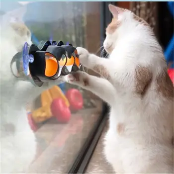 Augintiniai Kačių Žaislai Interaktyvus Track Ball Žaislas Katėms Įdomus Katės Žaidimas Žvalgybos 