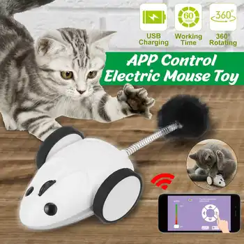 Naminių gyvūnėlių, Kačių Žaislas Interactive 