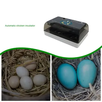 Brooder Įrankiai, 12 Kiaušinių Inkubatorius Paukščių Vištienos Ančių Kiaušinių Inkubatorius Automatinė Kiaušinių Inkubatorius Balandžių Namų Inkubatorius инкубатор