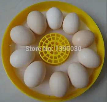 10 Kiaušinių Talpa Vištos Kiaušinių Inkubatorius Paukščių Kiaušinių Stovas Dėklas Automatinė Pažangios Kontrolės Putpelių Papūga Inkubacijos Įrankis