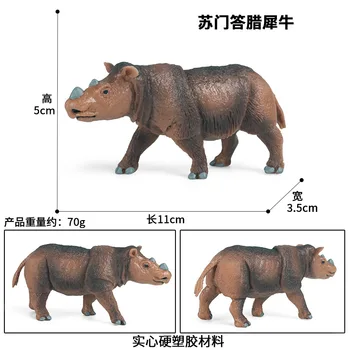 Sumatran Rhino Gyvūnų Skaičius Kolekcines, Žaislai Laukinių Gyvūnų Pažinimo Veiksmų Skaičiai Vaikai Plastikiniai Modelis Žaislai