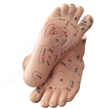 13cm Foot Reflex Zonos Masažas Modelis, Ne Akupunktūra Modelis, Pėdų Masažas Modelio Kinų Kalba, Pėdų Refleksologijos,1 Pora Medicinos