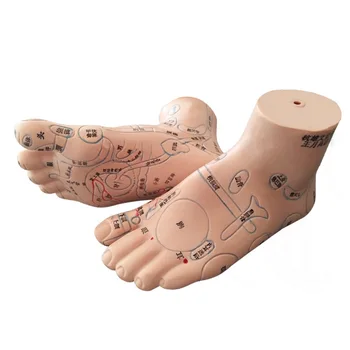13cm Foot Reflex Zonos Masažas Modelis, Ne Akupunktūra Modelis, Pėdų Masažas Modelio Kinų Kalba, Pėdų Refleksologijos,1 Pora Medicinos