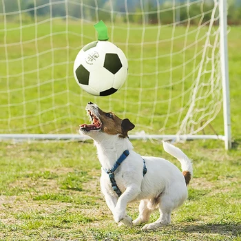 Lauko Vandens Juokingas Šuniukas Futbolo Vilkikas Ir Žaislas Augintiniui Patraukti Skirtukai Futbolo Kamuolys, Patalpų Interaktyvus Šuns Žaislai