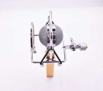 Dragonfly stilius, profesionalus studija kompiuterio vokalo įrašymas kondensatoriaus mikrofonas, interneto vaizdo pasirodymą gyvai
