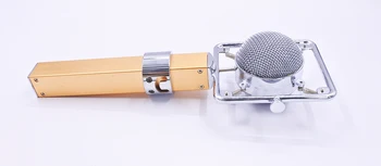 Dragonfly stilius, profesionalus studija kompiuterio vokalo įrašymas kondensatoriaus mikrofonas, interneto vaizdo pasirodymą gyvai
